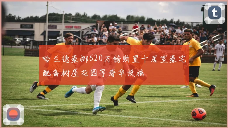 哈兰德豪掷620万镑购置十居室豪宅配备树屋花园等奢华设施