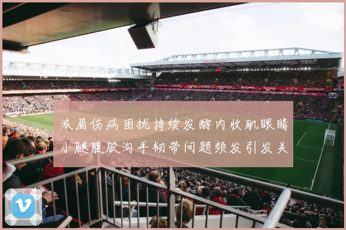 浓眉伤病困扰持续发酵内收肌眼睛小腿腹股沟手韧带问题频发引发关注