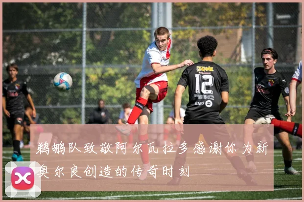 鹈鹕队致敬阿尔瓦拉多感谢你为新奥尔良创造的传奇时刻
