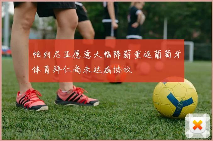 帕利尼亚愿意大幅降薪重返葡萄牙体育拜仁尚未达成协议